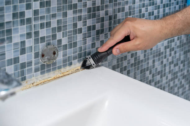 Best Attic Mold Removal  in Banning, CA