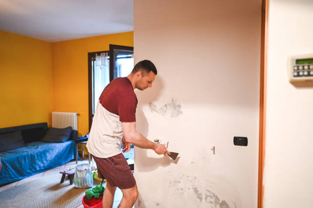 Best Certified Mold Removal  in Banning, CA