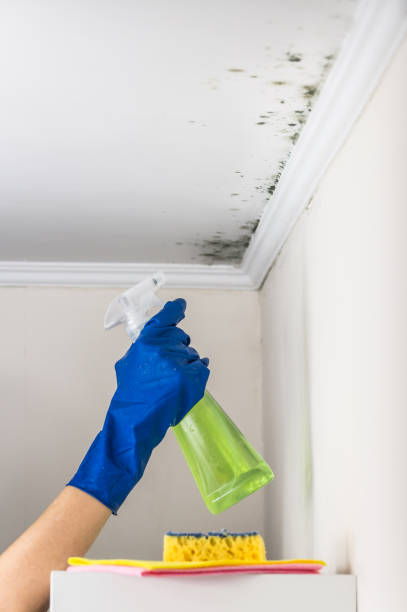 Best Crawl Space Mold Removal  in Banning, CA
